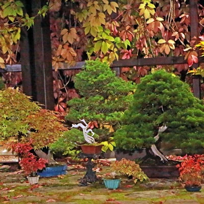 10064.jpg