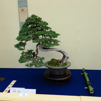10105-japan2016.jpg