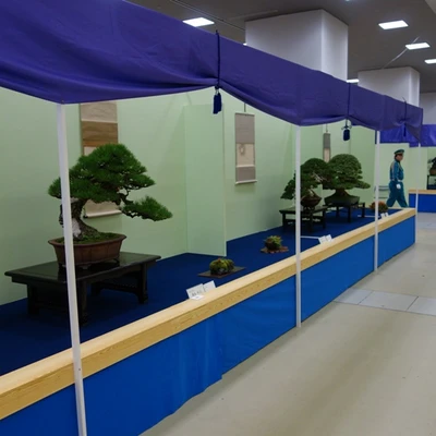 10111-japan2016.jpg
