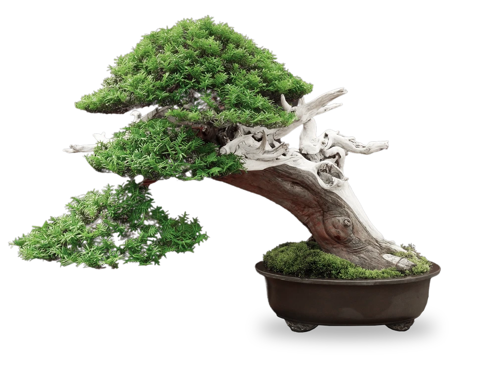 В начале 1.png