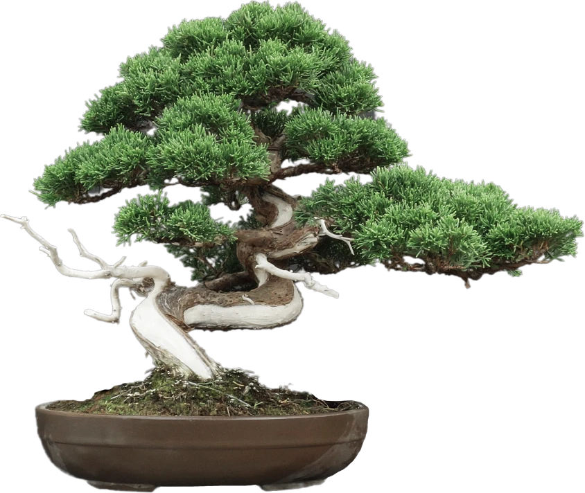 на главной 1.png