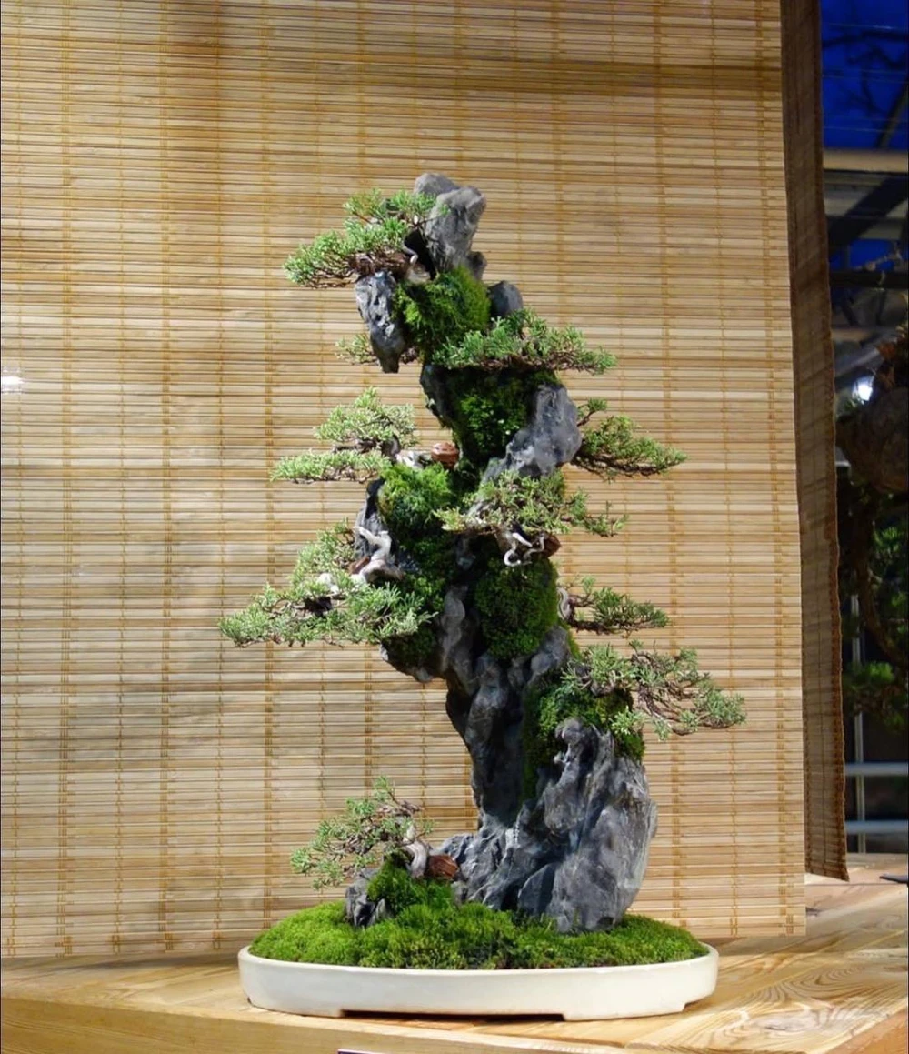 photo_2022-10-25_10-58-59