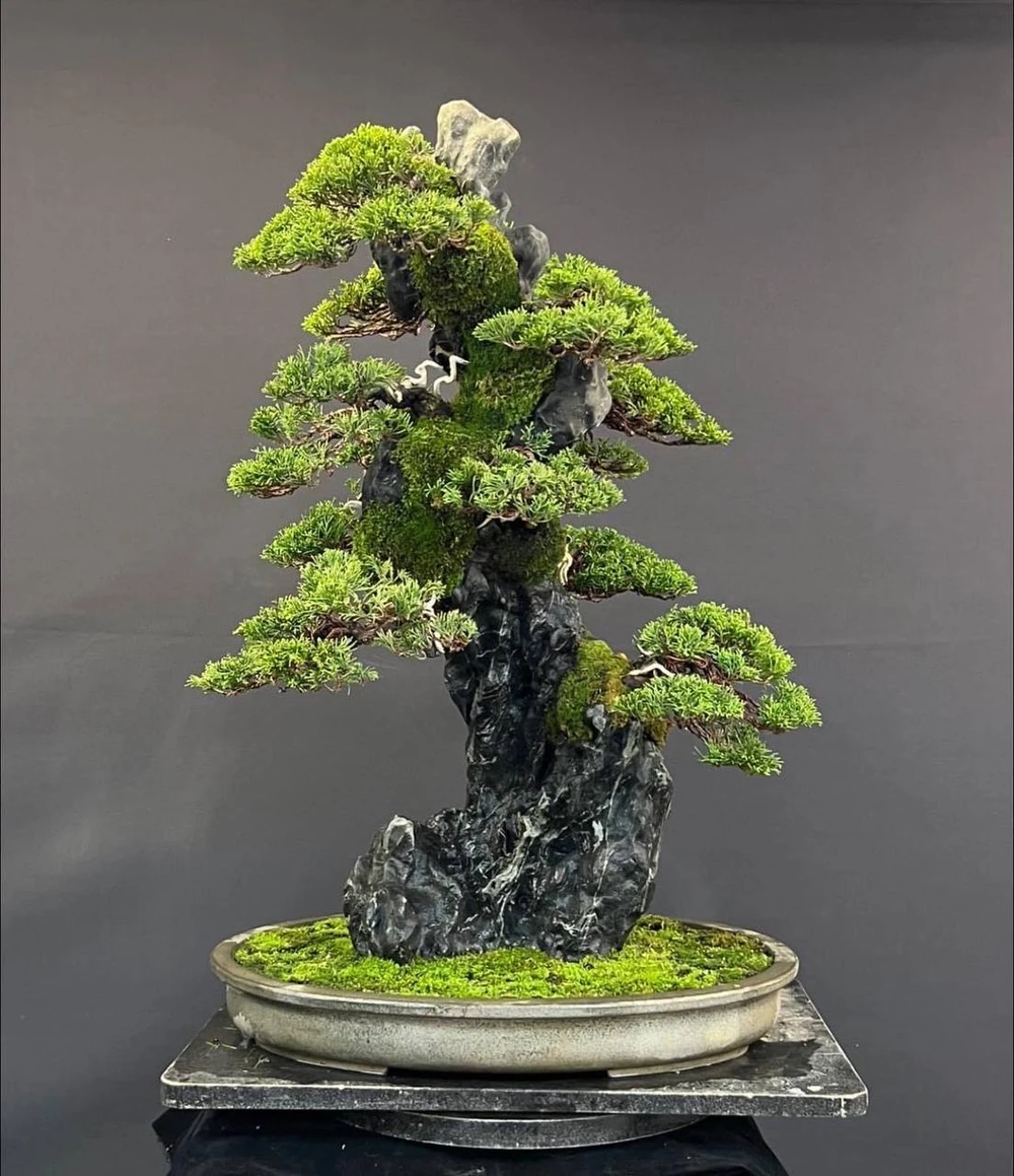 photo_2022-10-25_10-58-58