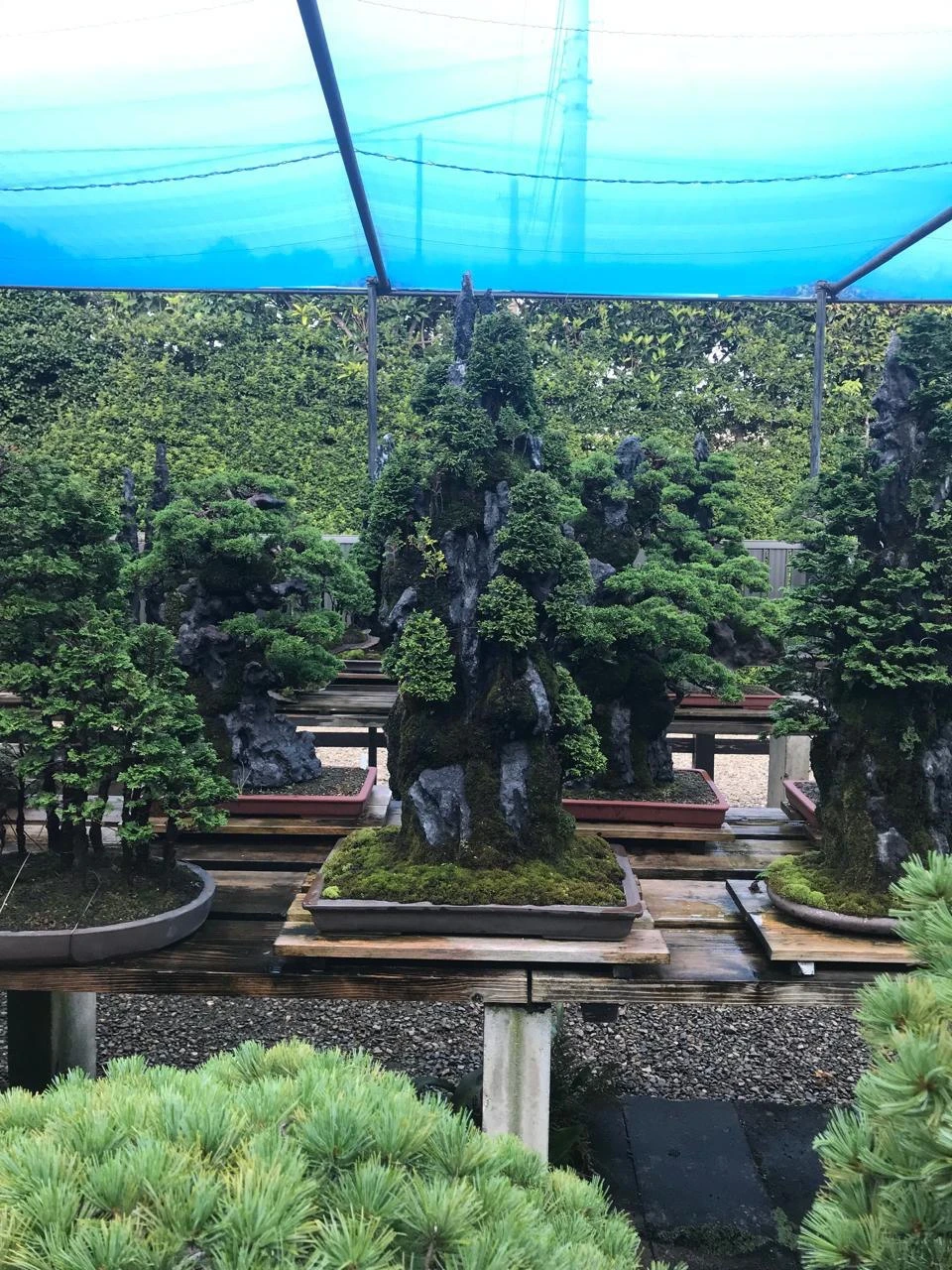 photo_2025-10-28_13-05-03