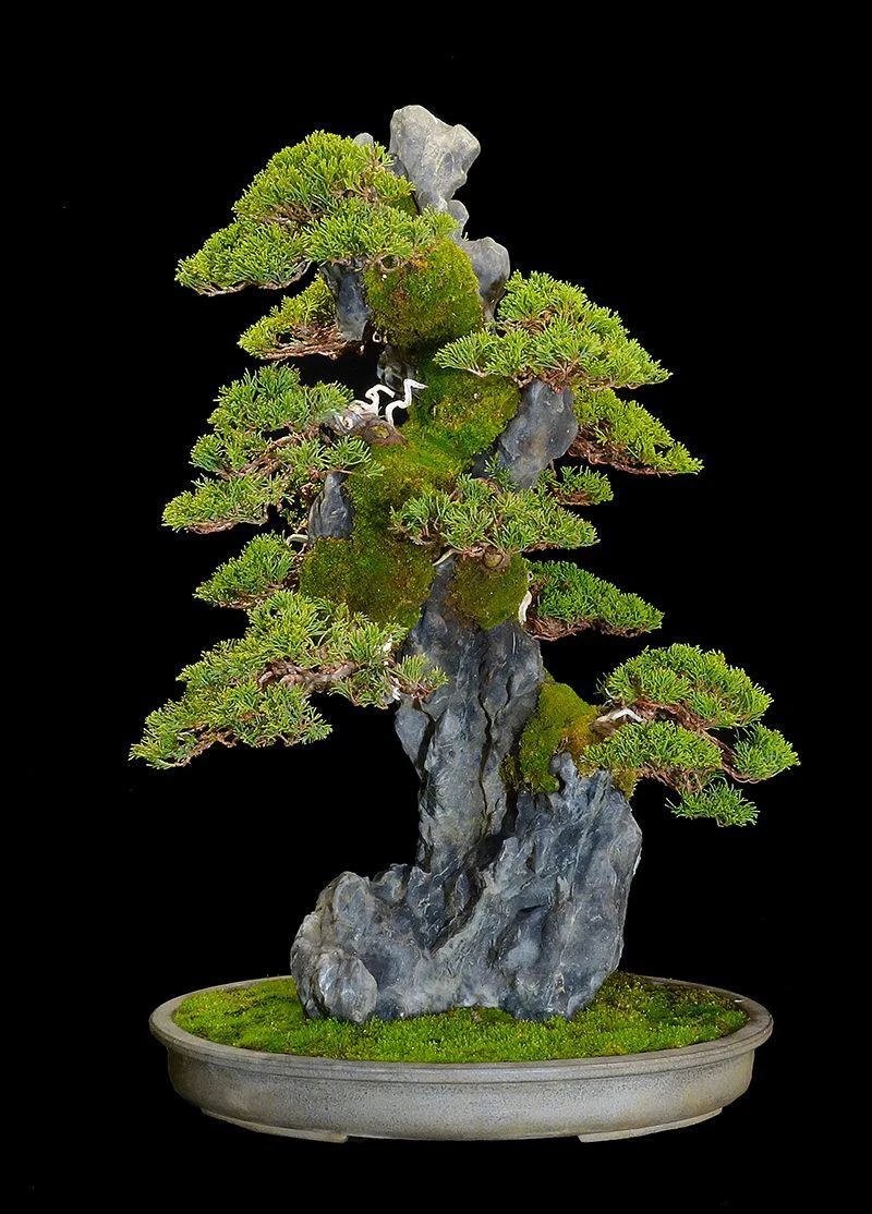 photo_2025-10-28_10-35-31